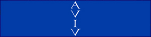 Aviv 613 Vodka