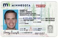 New Driver's Licenses