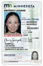 New Driver's Licenses